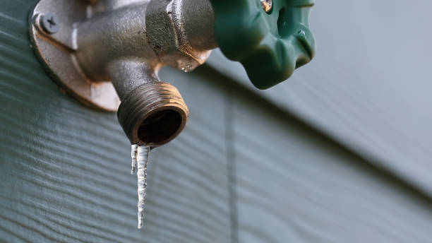 Best Clogged Drain Plumber  in Shrewsbury, PA
